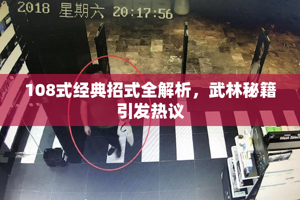 108式经典招式全解析，武林秘籍引发热议