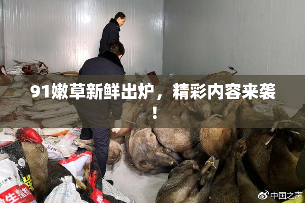 91嫩草新鲜出炉，精彩内容来袭！