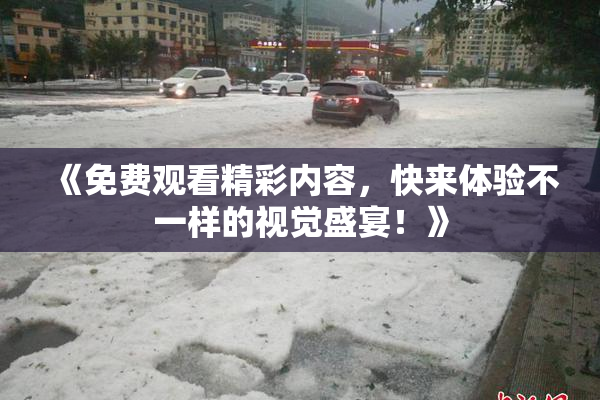 《免费观看精彩内容，快来体验不一样的视觉盛宴！》