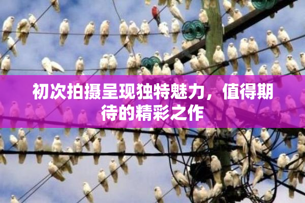 初次拍摄呈现独特魅力，值得期待的精彩之作