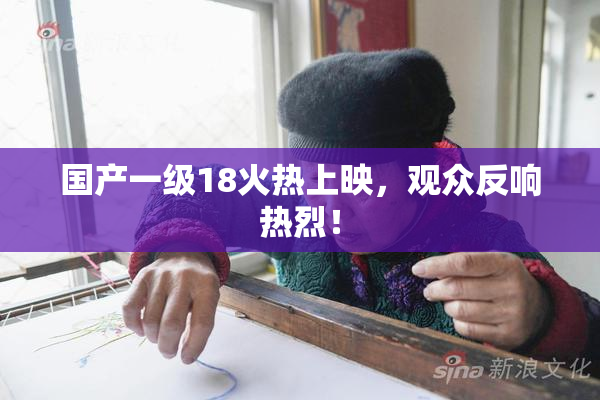 国产一级18火热上映，观众反响热烈！