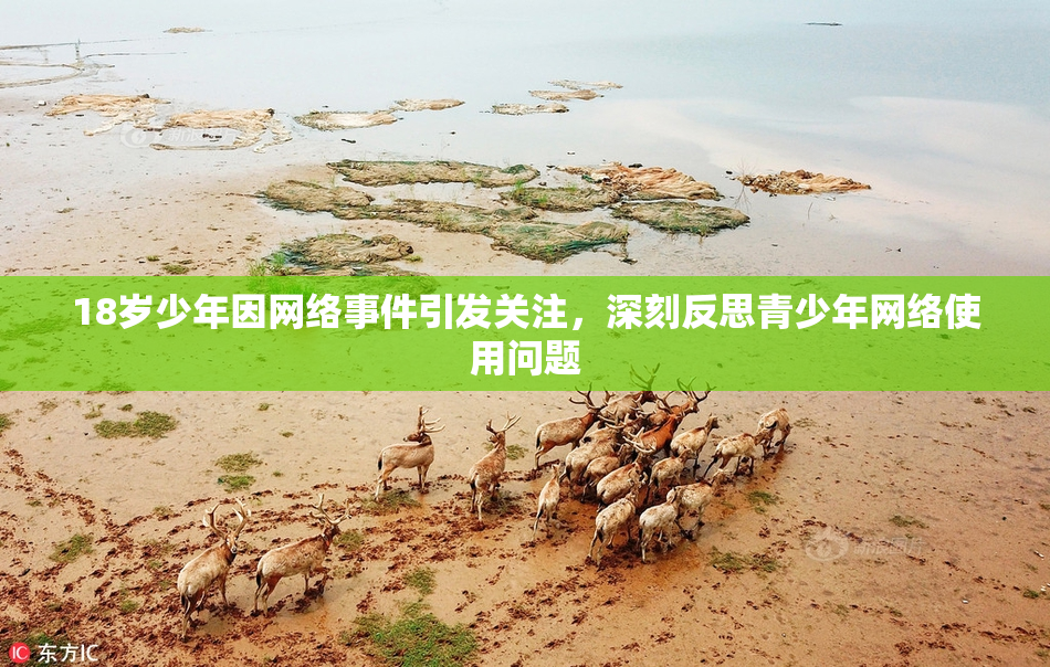 18岁少年因网络事件引发关注，深刻反思青少年网络使用问题
