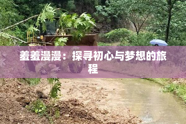 羞羞漫漫：探寻初心与梦想的旅程
