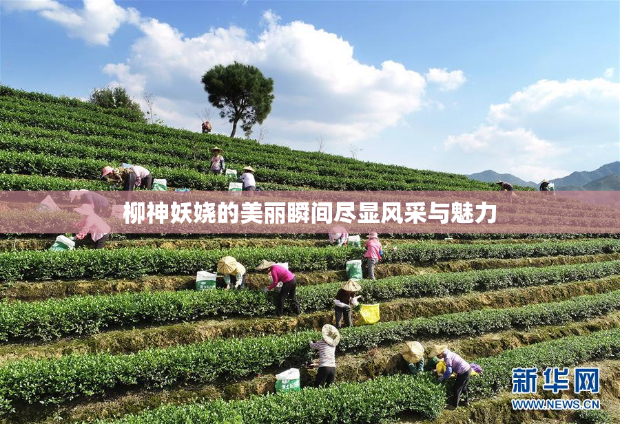 柳神妖娆的美丽瞬间尽显风采与魅力
