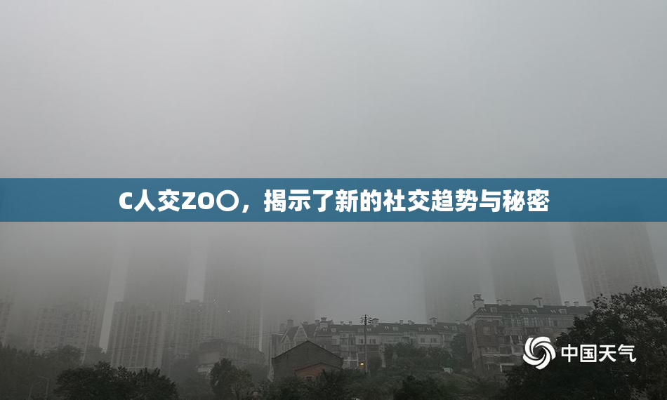 C人交ZO〇，揭示了新的社交趋势与秘密
