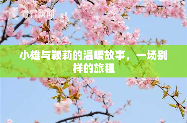 小雄与颖莉的温暖故事，一场别样的旅程