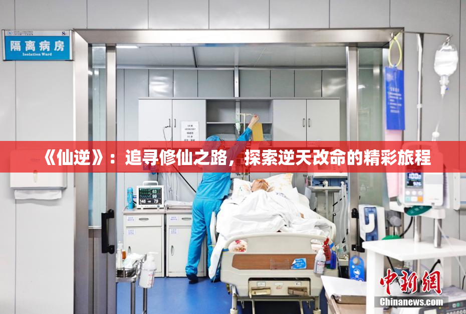《仙逆》：追寻修仙之路，探索逆天改命的精彩旅程