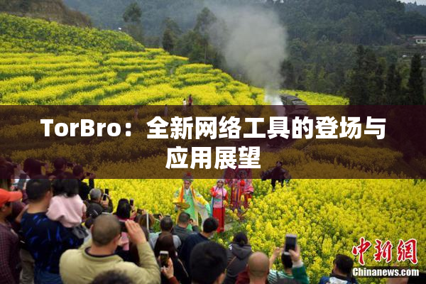 TorBro：全新网络工具的登场与应用展望
