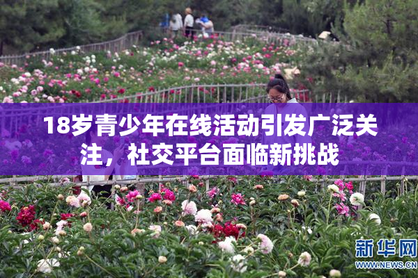 18岁青少年在线活动引发广泛关注，社交平台面临新挑战