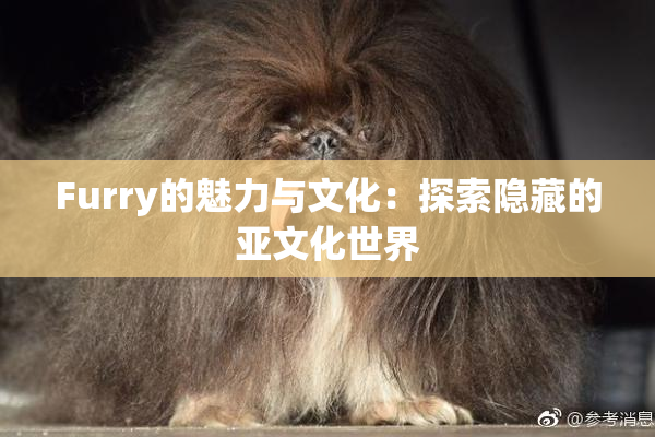 Furry的魅力与文化：探索隐藏的亚文化世界