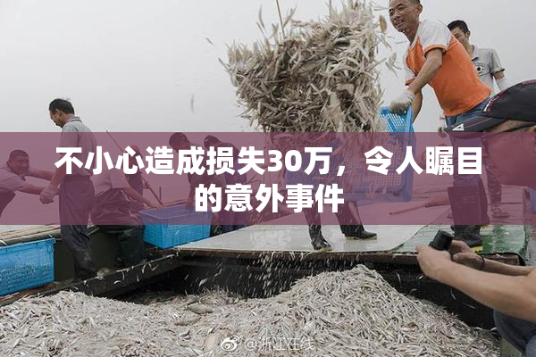 不小心造成损失30万，令人瞩目的意外事件