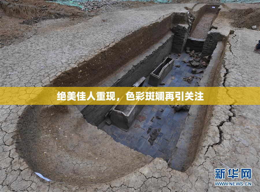 绝美佳人重现，色彩斑斓再引关注