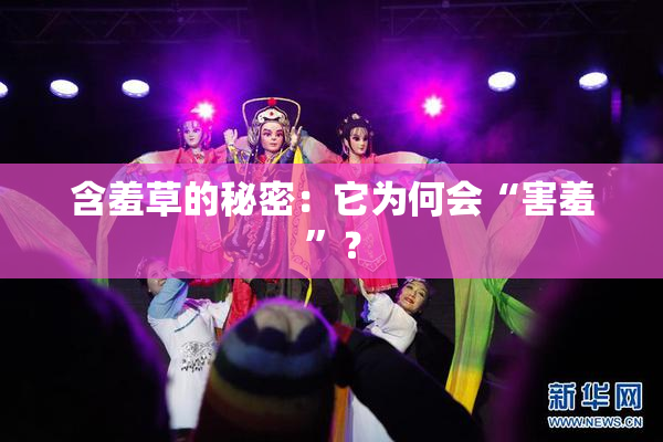 含羞草的秘密：它为何会“害羞”？