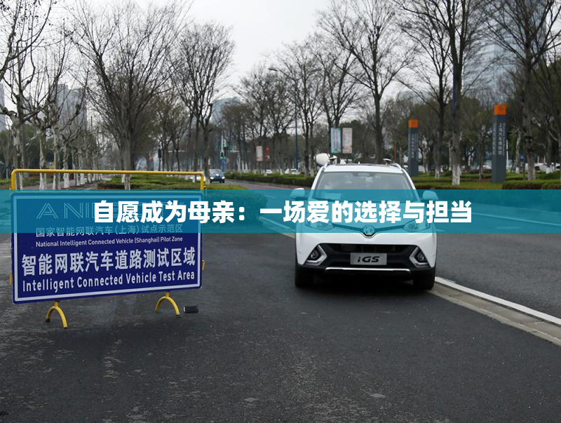 自愿成为母亲：一场爱的选择与担当