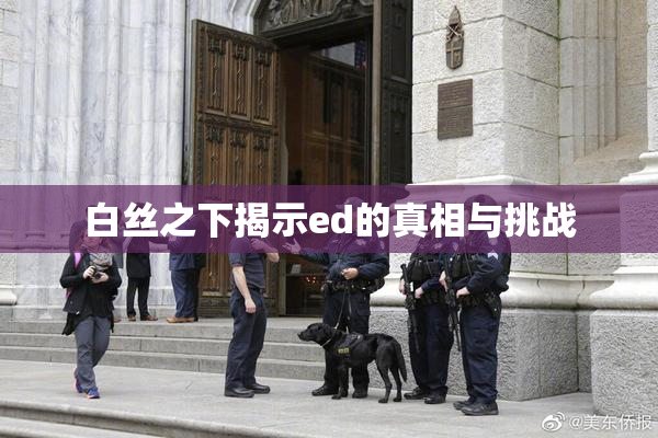 白丝之下揭示ed的真相与挑战