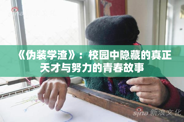 《伪装学渣》：校园中隐藏的真正天才与努力的青春故事
