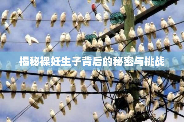 揭秘裸妊生子背后的秘密与挑战