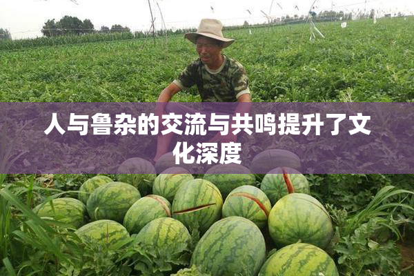人与鲁杂的交流与共鸣提升了文化深度