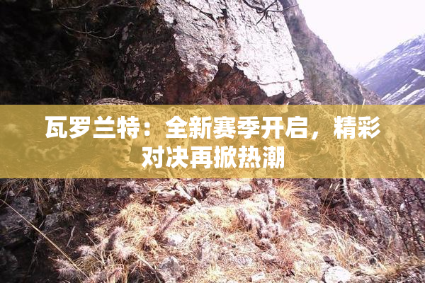 瓦罗兰特：全新赛季开启，精彩对决再掀热潮