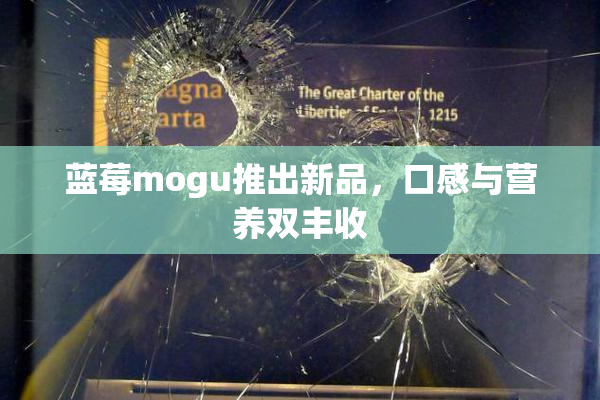 蓝莓mogu推出新品，口感与营养双丰收