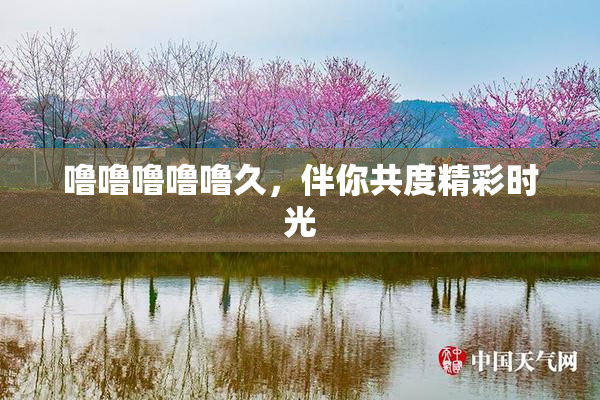 噜噜噜噜噜久，伴你共度精彩时光