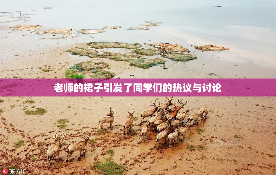 老师的裙子引发了同学们的热议与讨论