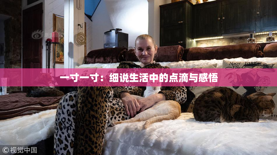 一寸一寸：细说生活中的点滴与感悟