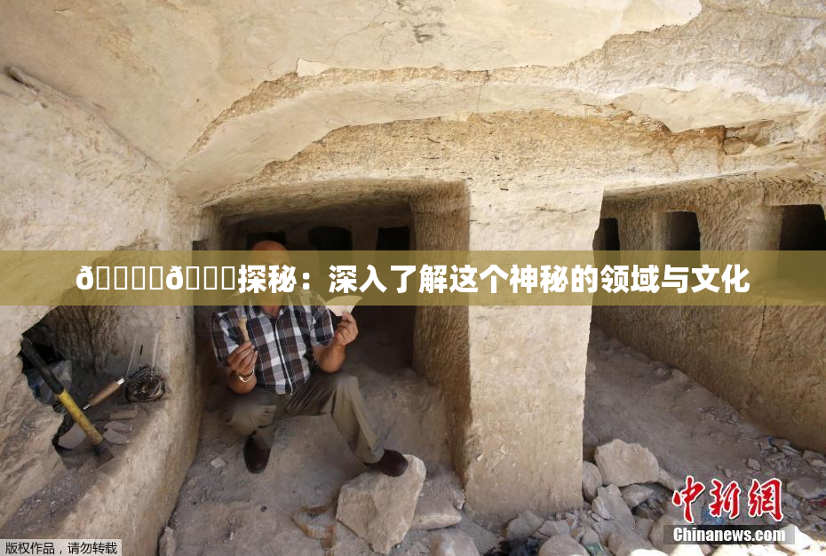 🔞‌🍌探秘：深入了解这个神秘的领域与文化