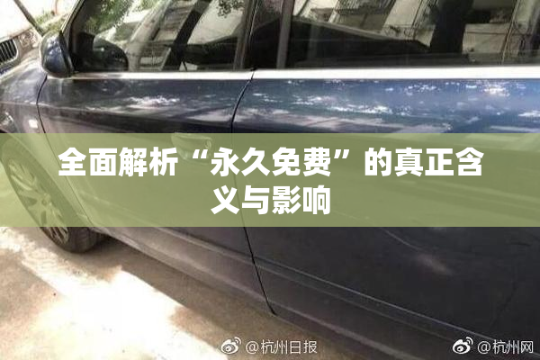 全面解析“永久免费”的真正含义与影响