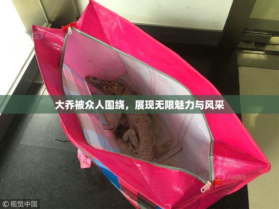 大乔被众人围绕，展现无限魅力与风采