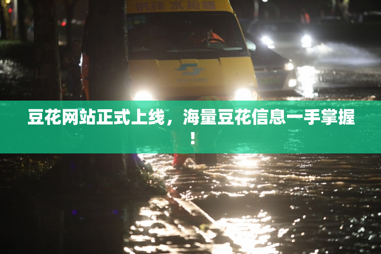 豆花网站正式上线，海量豆花信息一手掌握！