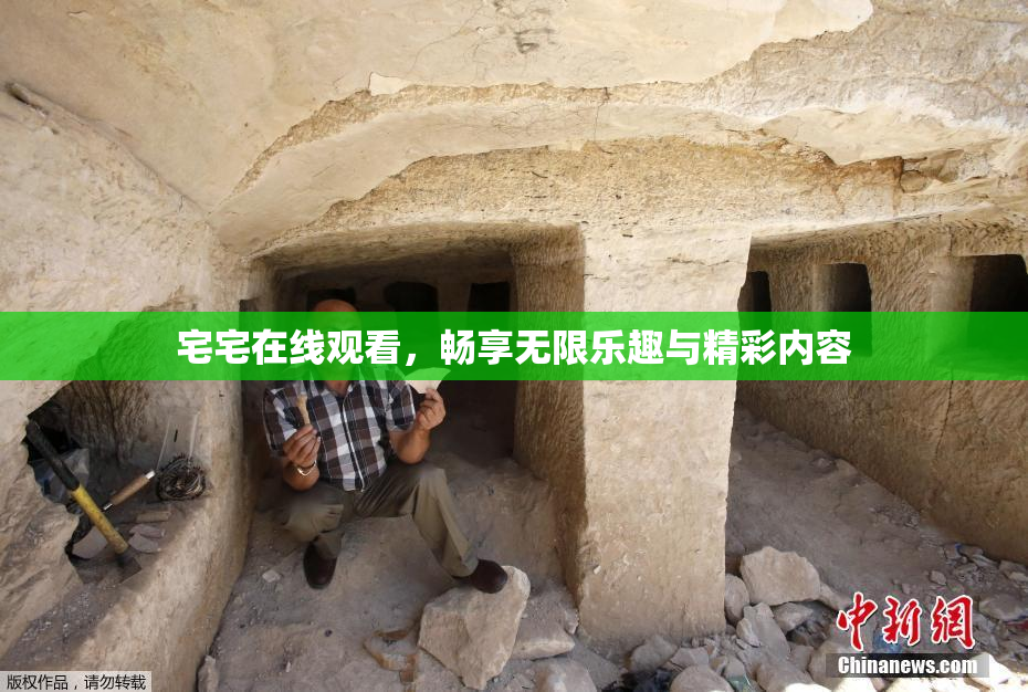 宅宅在线观看，畅享无限乐趣与精彩内容