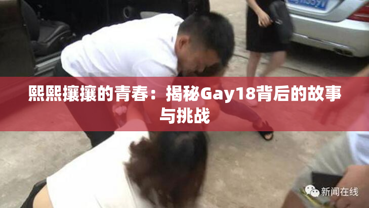 熙熙攘攘的青春：揭秘Gay18背后的故事与挑战