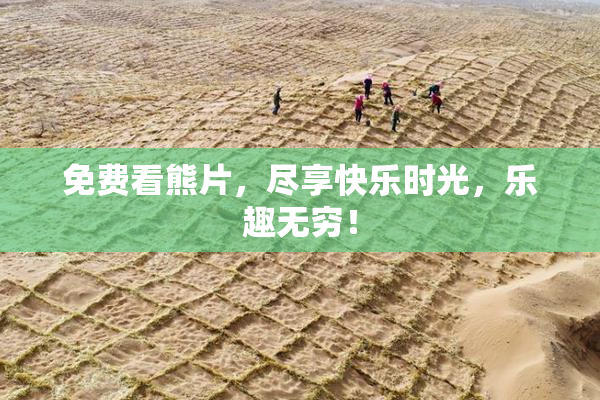免费看熊片，尽享快乐时光，乐趣无穷！