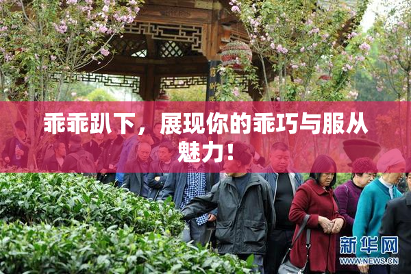 乖乖趴下，展现你的乖巧与服从魅力！