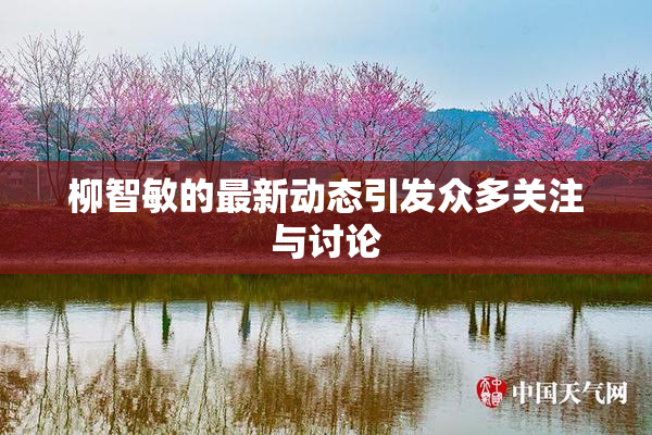 柳智敏的最新动态引发众多关注与讨论