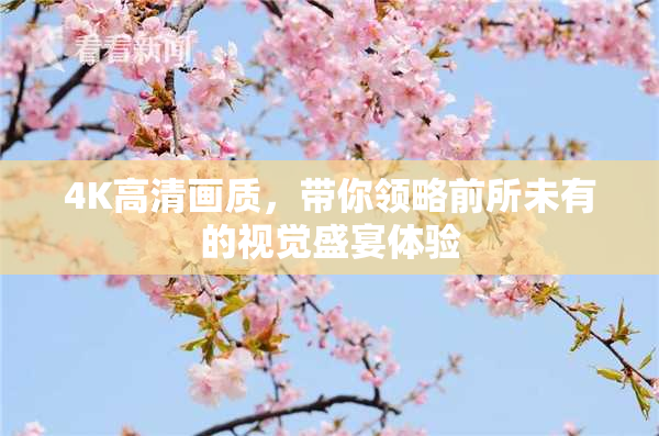 4K高清画质，带你领略前所未有的视觉盛宴体验