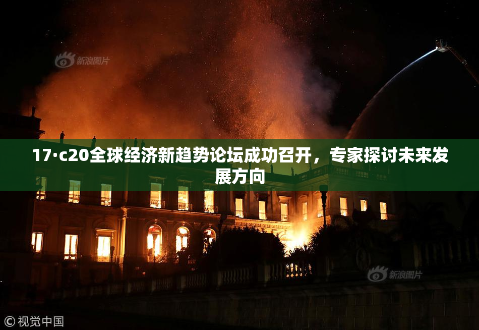 17·c20全球经济新趋势论坛成功召开，专家探讨未来发展方向
