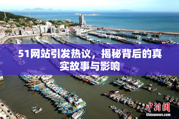 51网站引发热议，揭秘背后的真实故事与影响