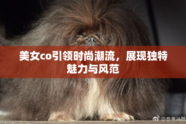 美女co引领时尚潮流，展现独特魅力与风范