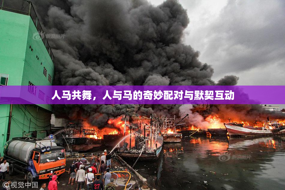 人马共舞，人与马的奇妙配对与默契互动