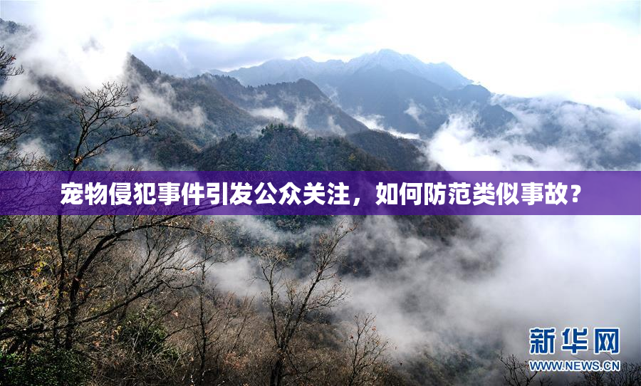 宠物侵犯事件引发公众关注，如何防范类似事故？