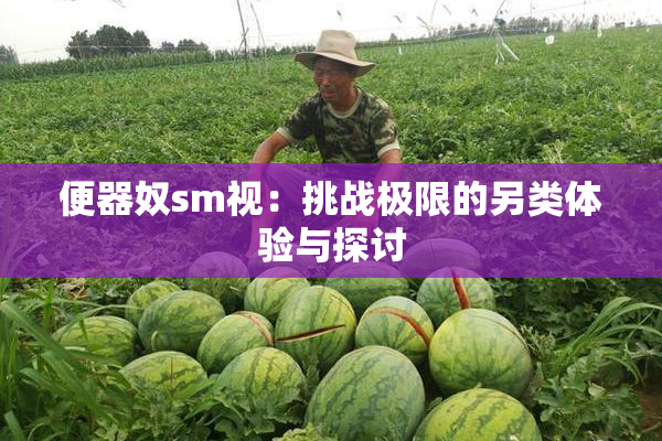 便器奴sm视：挑战极限的另类体验与探讨