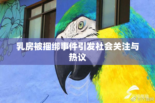 乳房被捆绑事件引发社会关注与热议