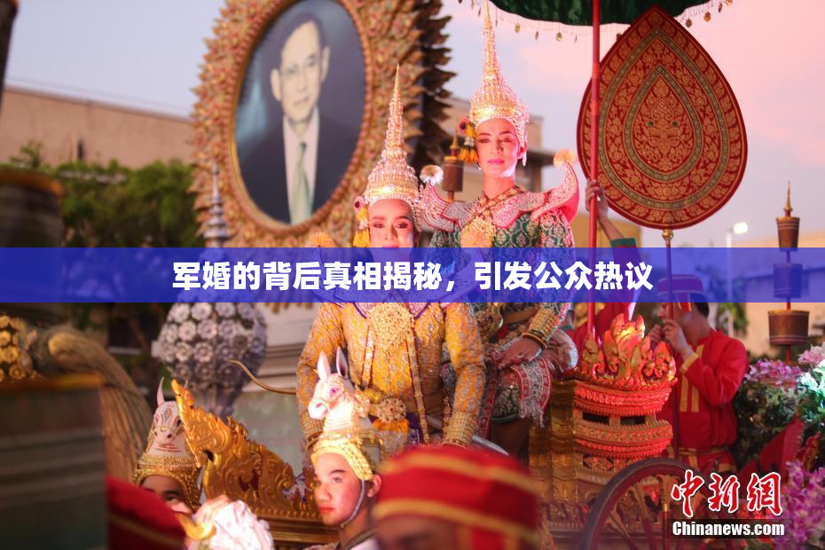 军婚的背后真相揭秘，引发公众热议