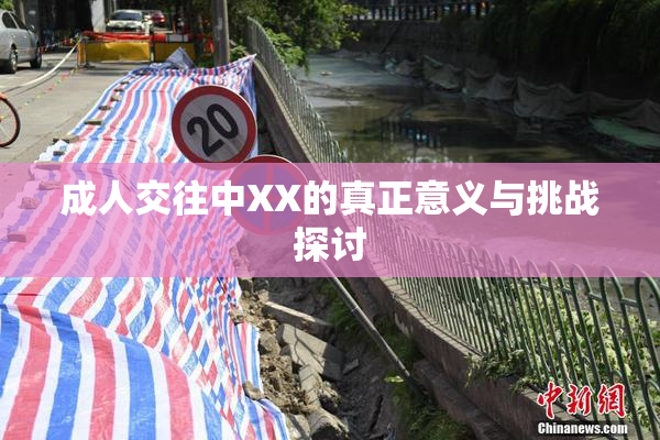 成人交往中XX的真正意义与挑战探讨