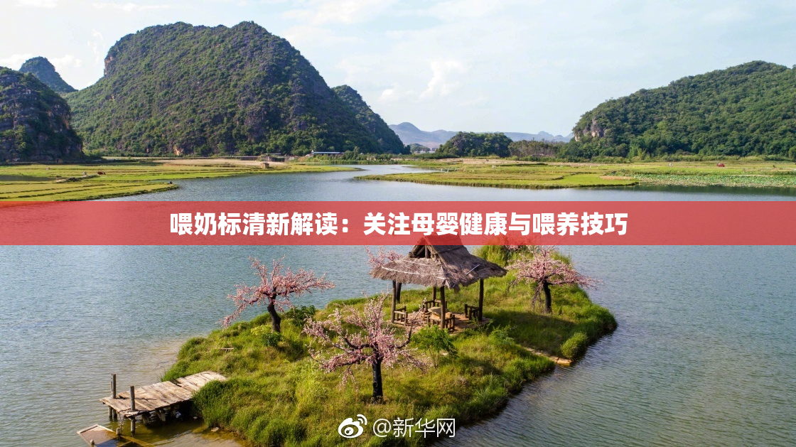 喂奶标清新解读：关注母婴健康与喂养技巧