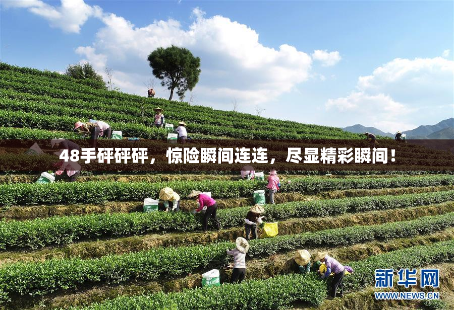 48手砰砰砰，惊险瞬间连连，尽显精彩瞬间！