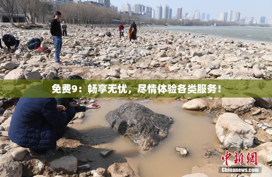 免费9：畅享无忧，尽情体验各类服务！