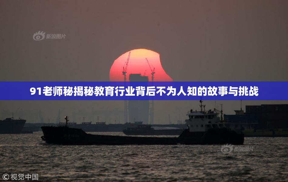 91老师秘揭秘教育行业背后不为人知的故事与挑战